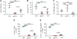 Figure 7. TCR-transgenic mice with exclusively low-affinity TCR for the tumor antigen have impaired tumor control and fewer terminally exhausted TIL. A, The weight and (B) total viable cell count from tumors 14 days post tumor challenge from 1D4 (blue), gp70-deficient (red), or WT BALB/c, gp70-sufficient (black) mice is shown. C, The frequency of CD8+ TILs as a percentage of total viable cells is shown. The frequency of CD8+ TILs that were (D) PD-1+TIM3− and (E) PD-1+TIM3−SLAMF6+ is shown. One-way ANOVA was used to determine statistical significance between tumor sizes and TIL profiles (n = 5 for all groups, error bars show SD of the mean. ns = not significant; *, P ≤ 0.05; **, P ≤ 0.01; ***, P ≤ 0.001; ****, P ≤ 0.0001).