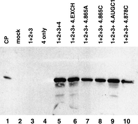 FIGURE 10.