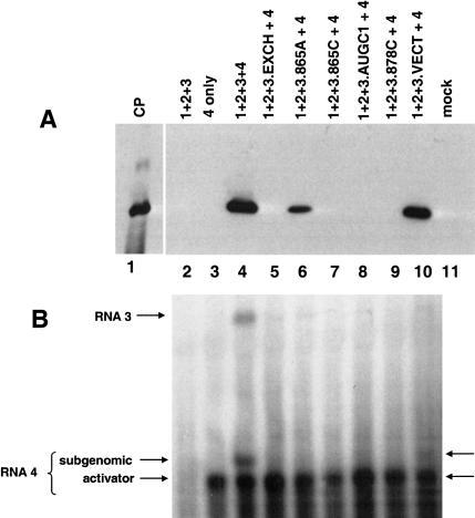 FIGURE 9.