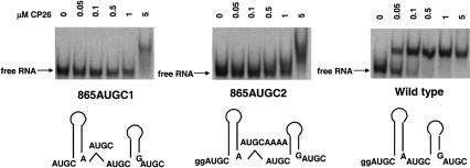 FIGURE 4.