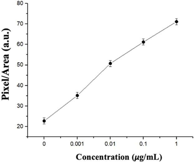 FIGURE 11