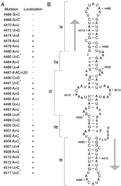 FIG. 5