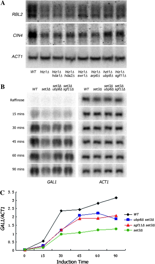 Figure 5.—