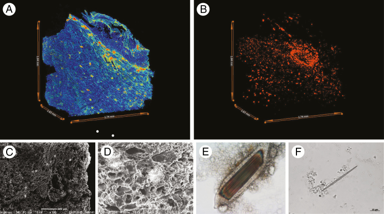 Fig. 4.