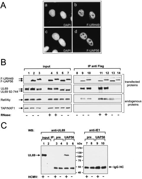 FIG. 4.