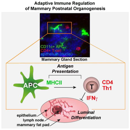 graphic file with name nihms712739u1.jpg
