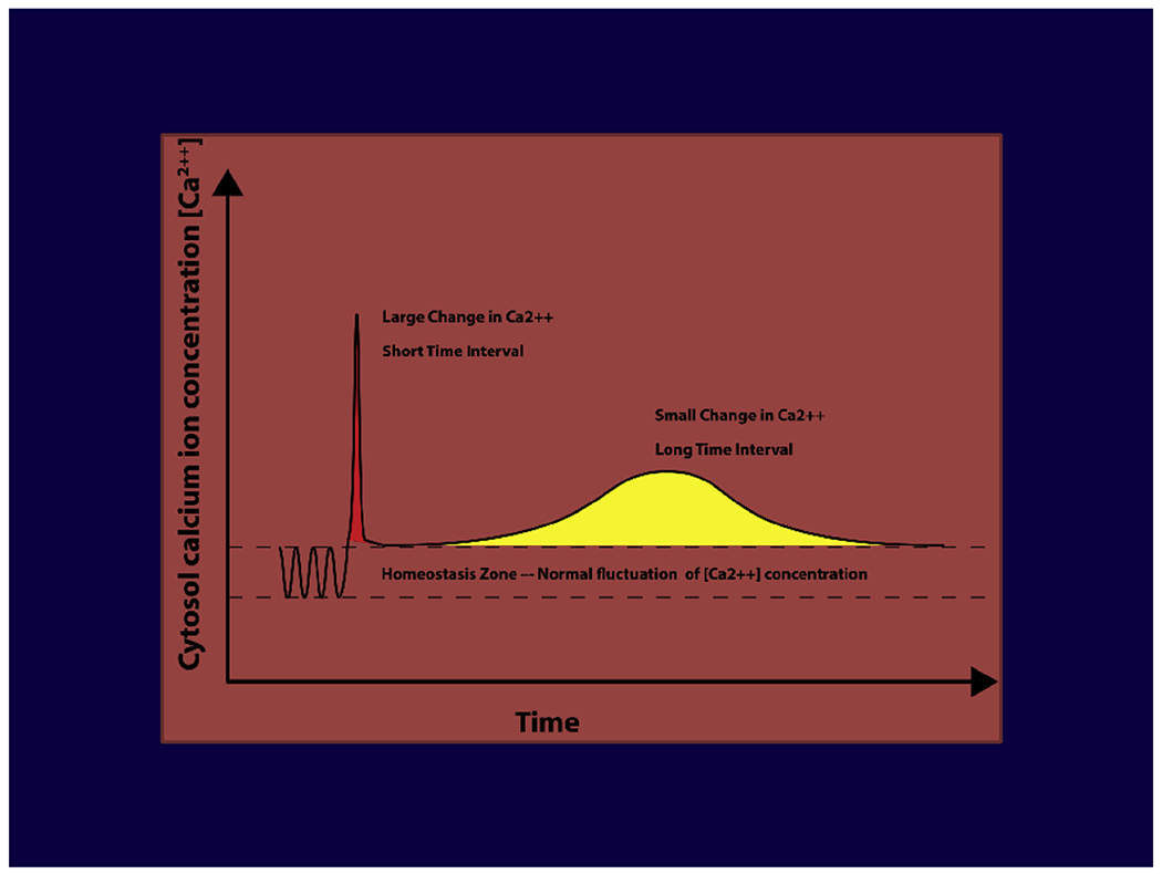 Fig. 5.