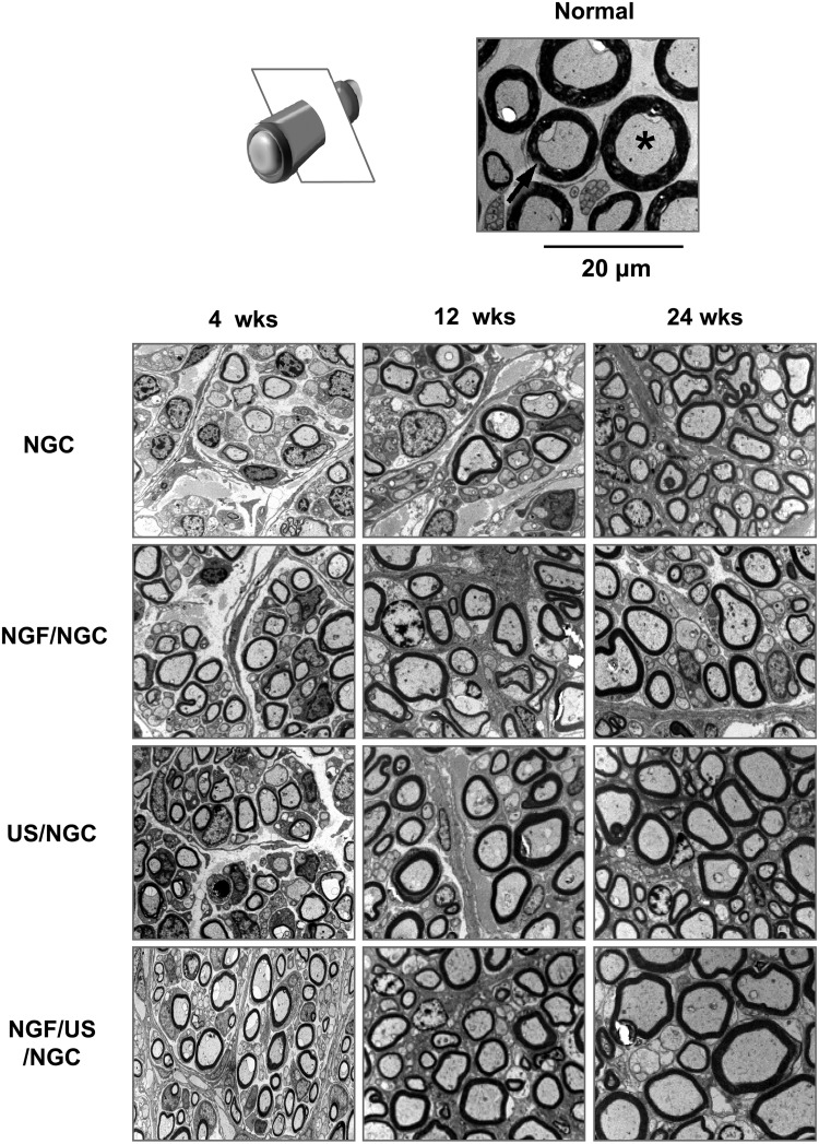 FIG. 5.