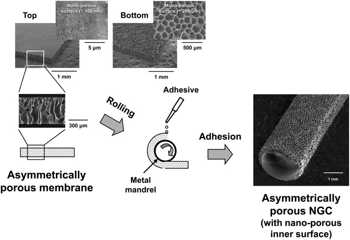 FIG. 2.