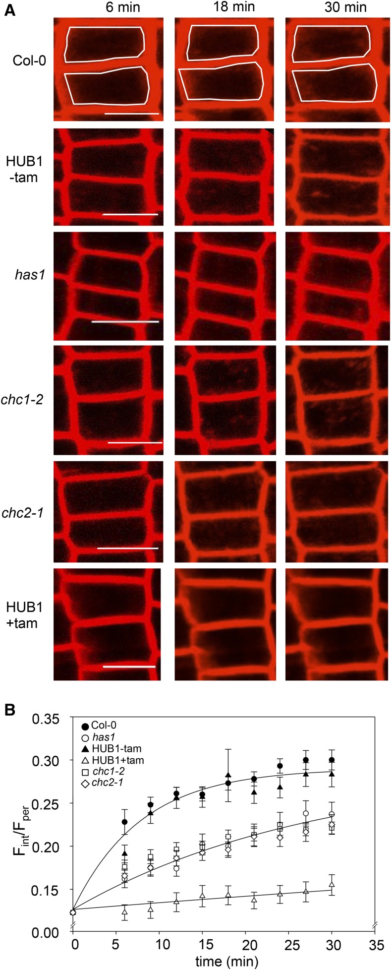 Figure 1.