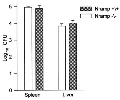 FIG. 5