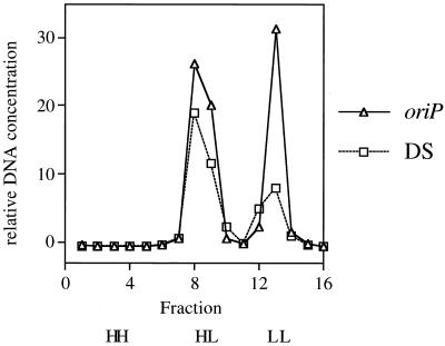 FIG. 5