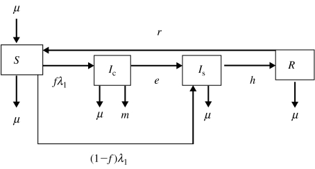 Fig. 1