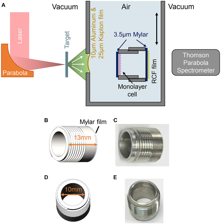 FIGURE 1