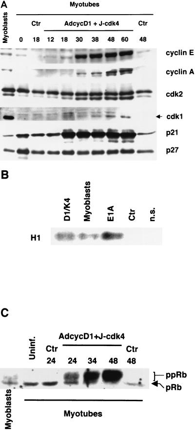 FIG. 5