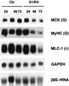 FIG. 7