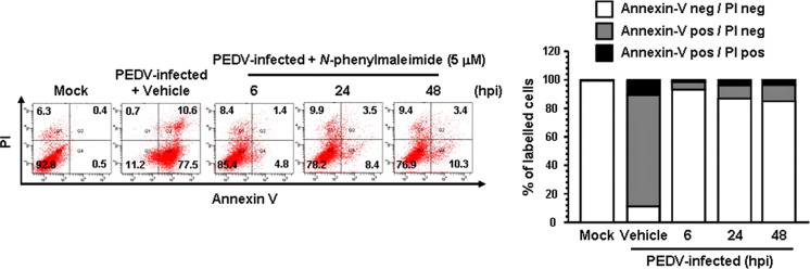 Fig. 9