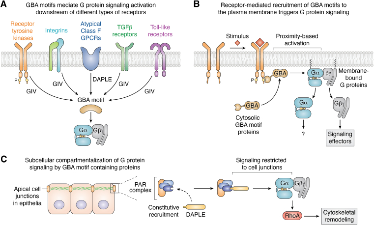 Figure 3