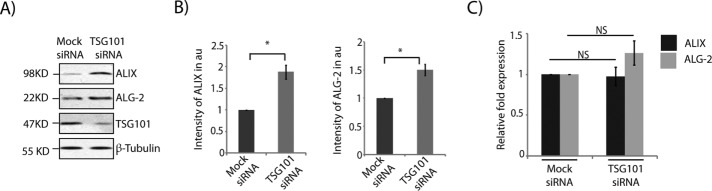 FIGURE 7: