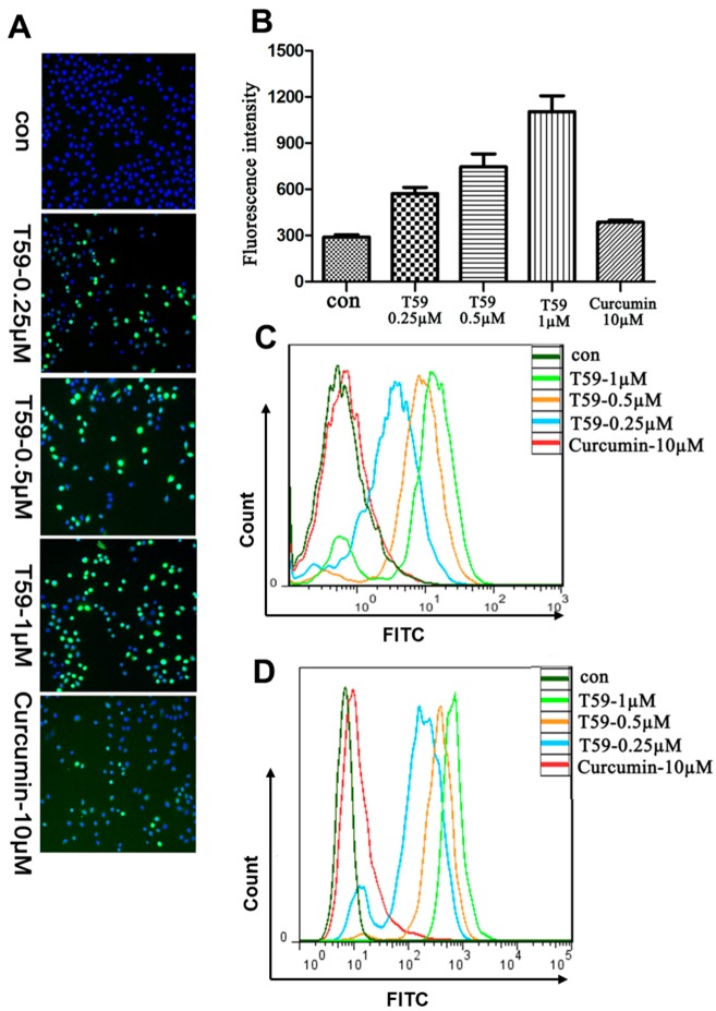 Figure 4