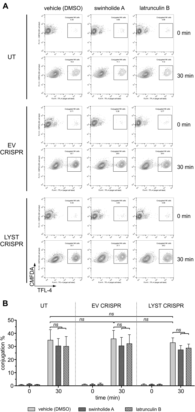 Fig E6