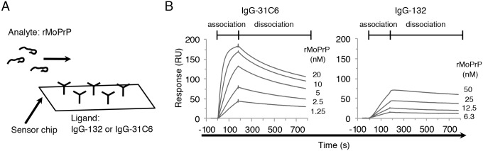 Fig 5