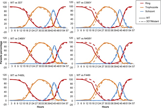 FIG 3