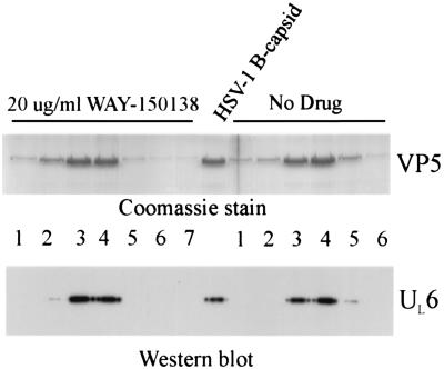 FIG. 5.