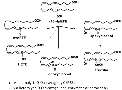 Fig. 10.