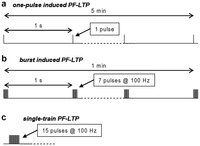 Fig.1