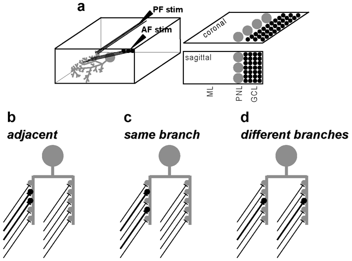 Fig.3