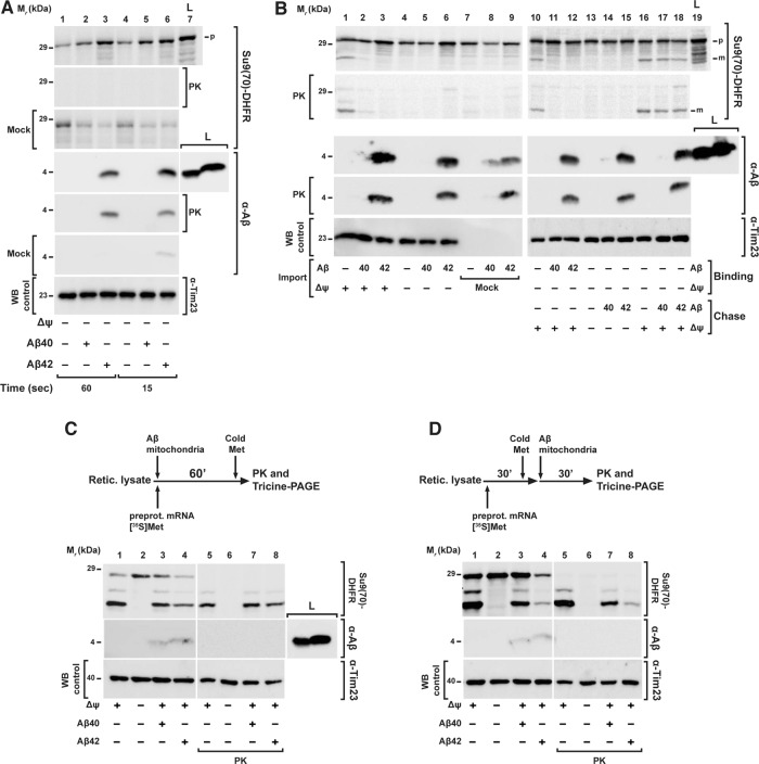 FIGURE 3: