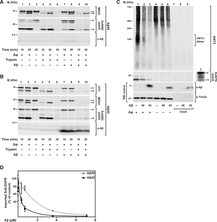 FIGURE 1: