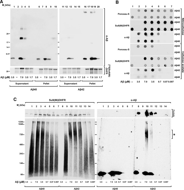 FIGURE 7: