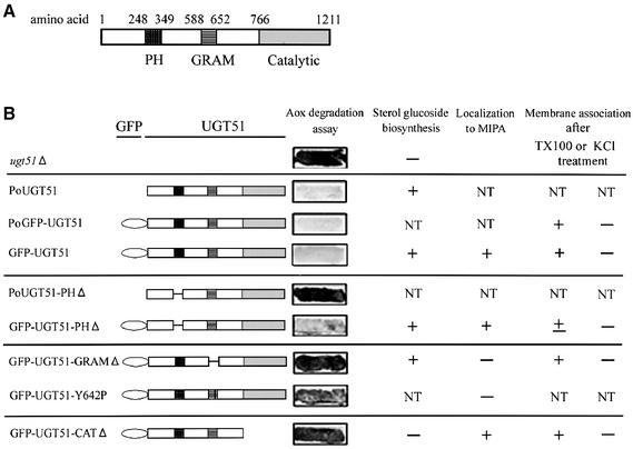 graphic file with name cdg331f4.jpg