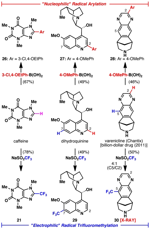 Fig. 7.