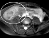 Figure 13b