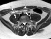 Figure 3b