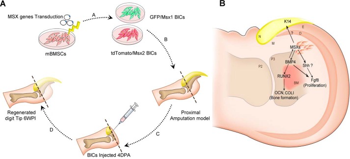 Figure 10.