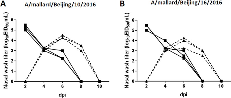 Fig 7