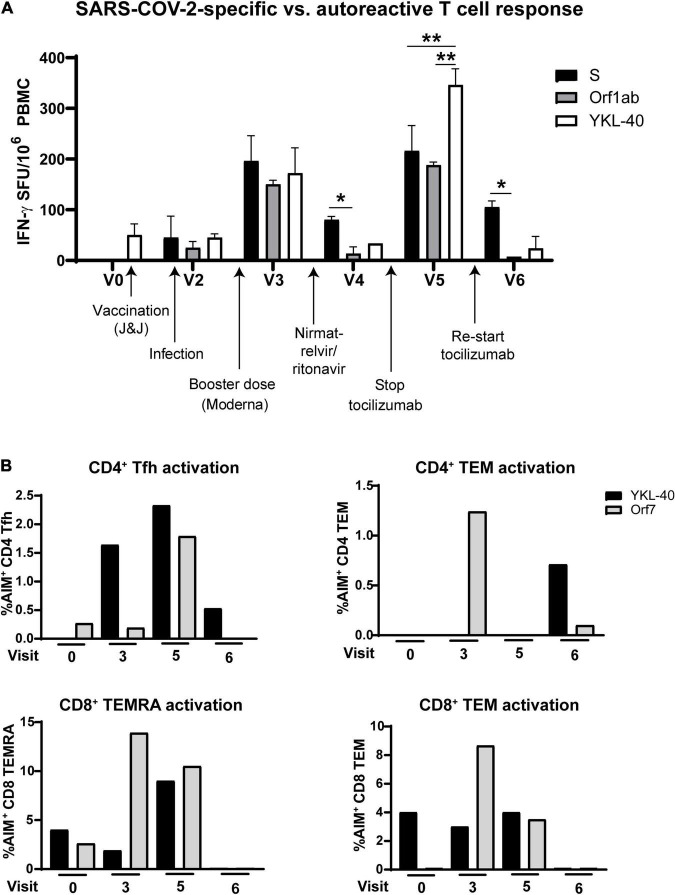 FIGURE 4