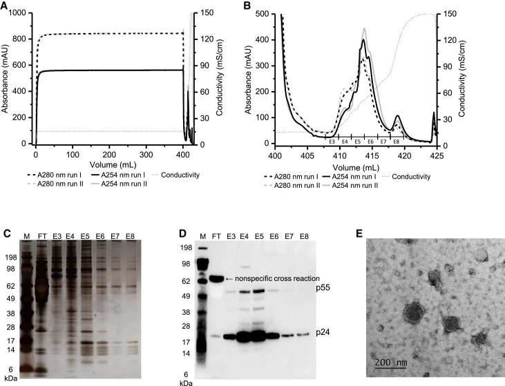 Figure 5