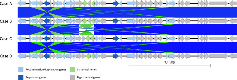 Fig. 4.