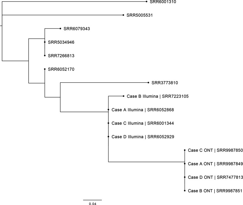 Fig. 1.