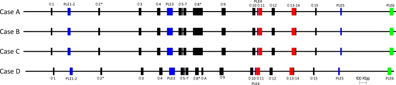 Fig. 2.