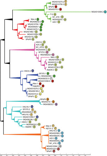 FIGURE 6