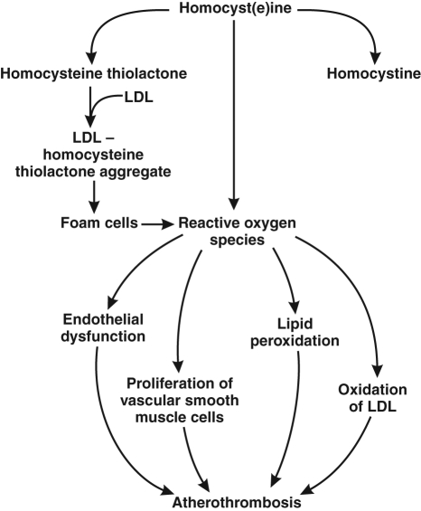 Figure 1)