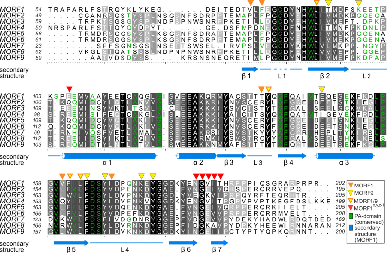 Figure 3.