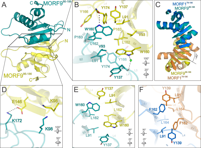 Figure 5.