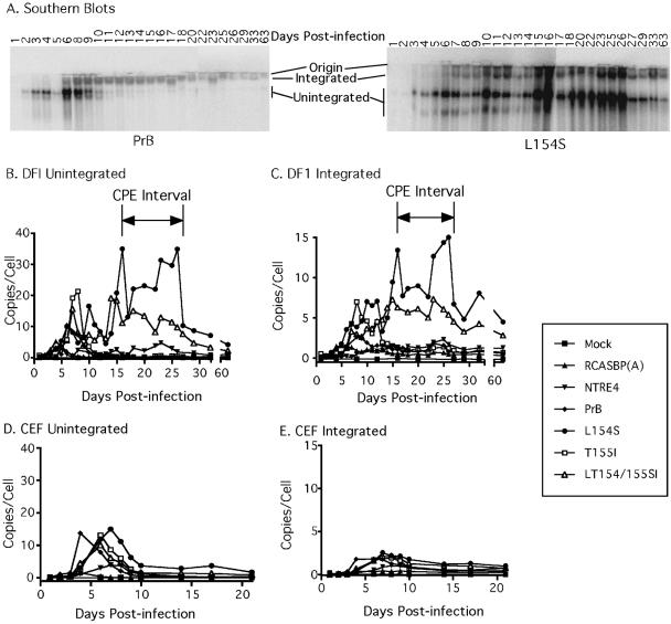 FIG. 4.